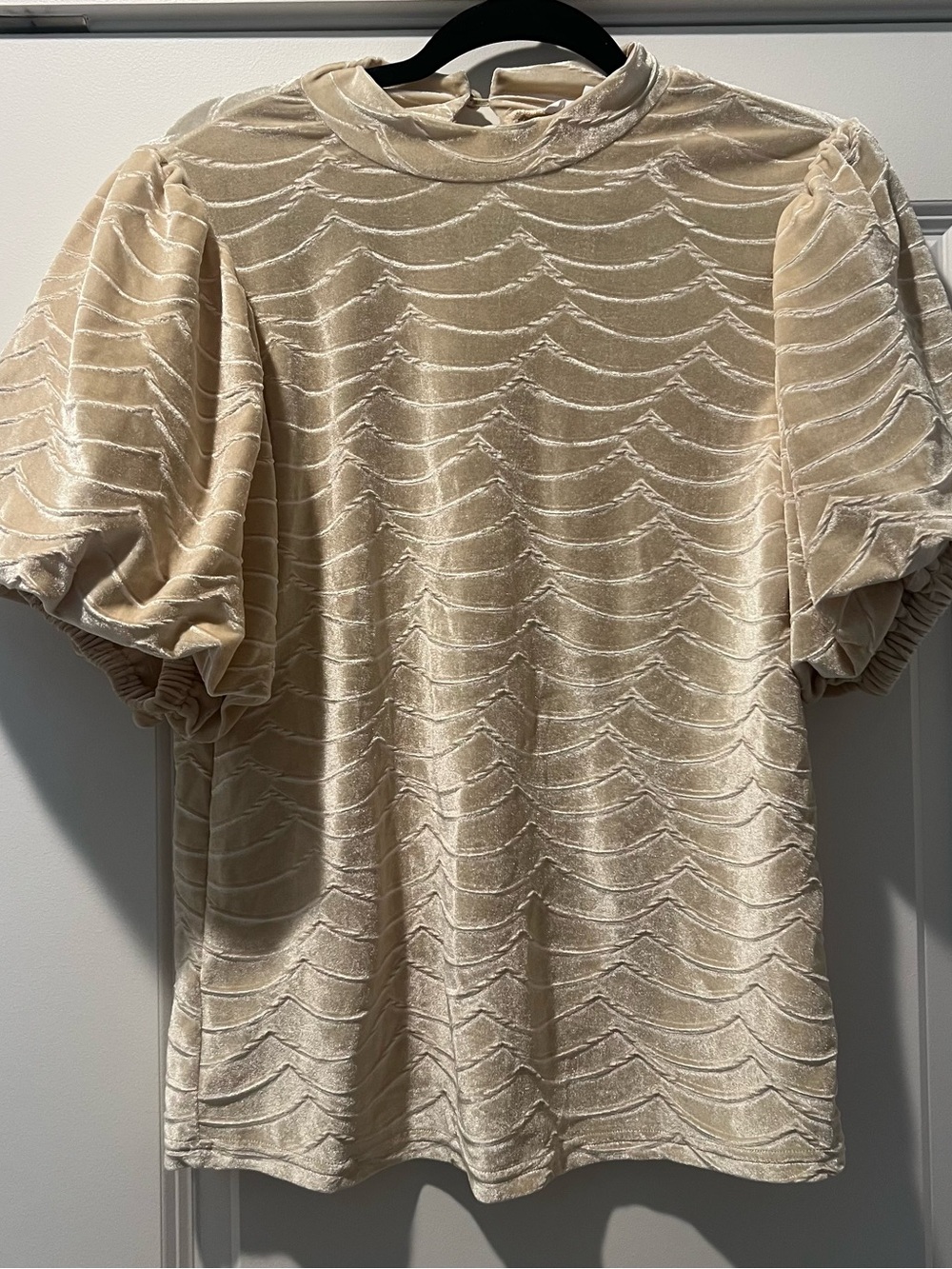THML Women's Cream Velvet Puff-Sleeve Top